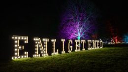 Experience the magic of Enlightened this Christmas at Colchester Castle Park