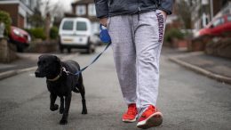 RSPCA advice on when to walk your dog during the hot weather and the signs of dog heatstroke